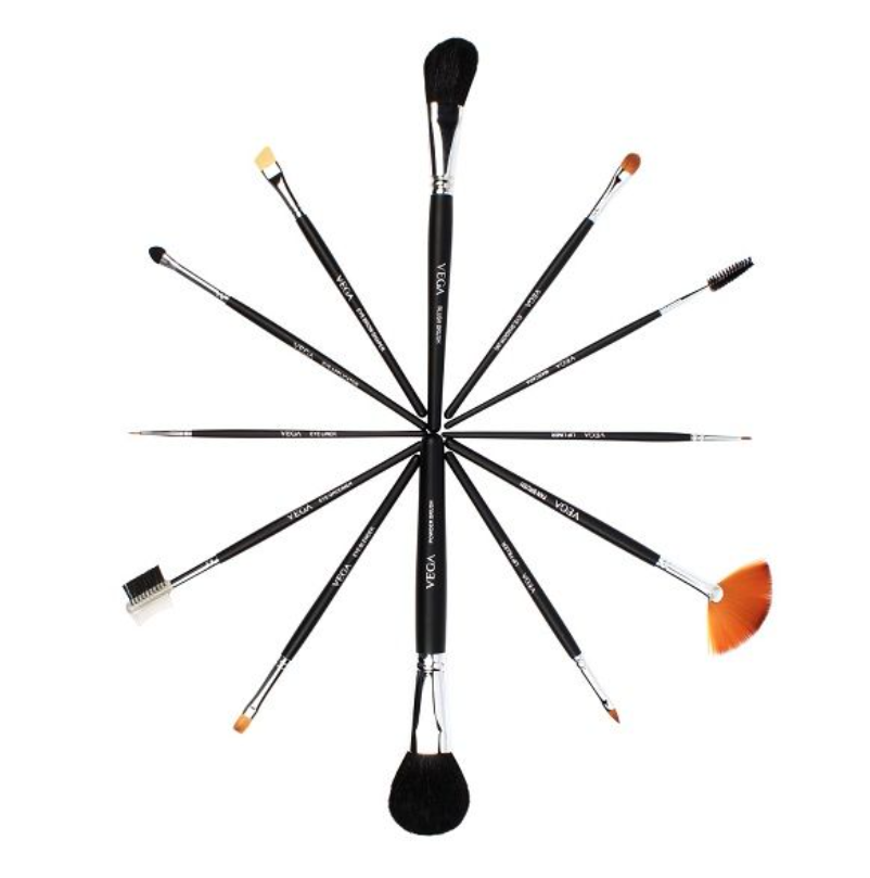 VEGA Set of 12 Brushes - LK-12